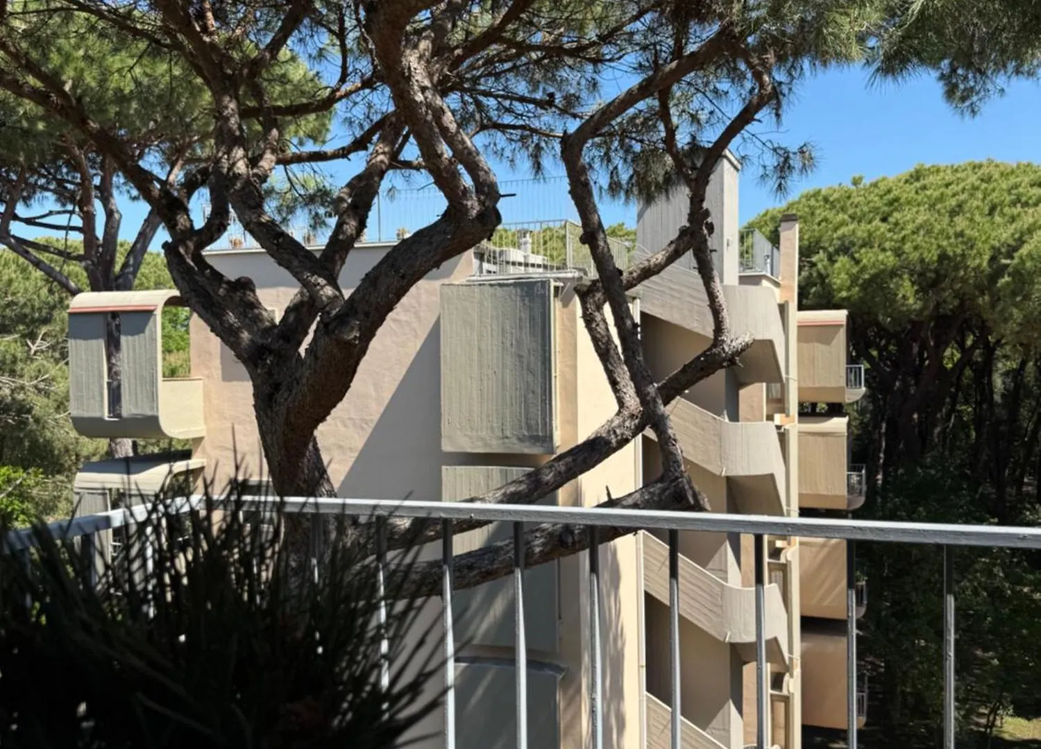 Ferienwohnung La Terrazza Del Pino Torre del Lago Puccini Apartment